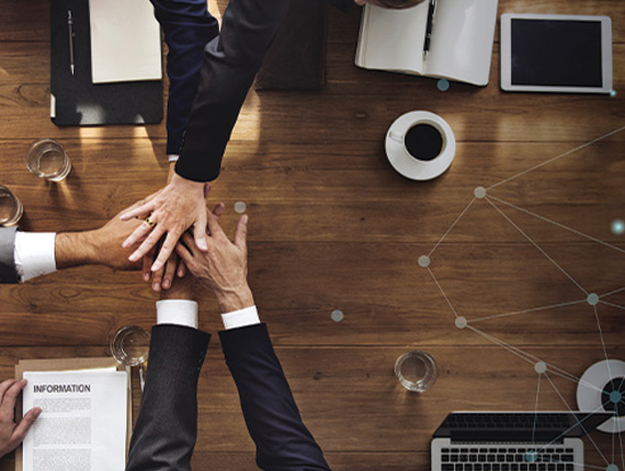 EaseMed Solutions Team